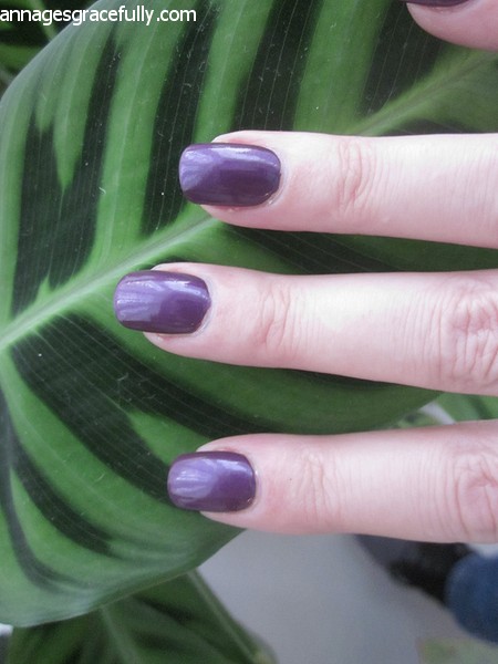 Merry Berry Purple with Purpose