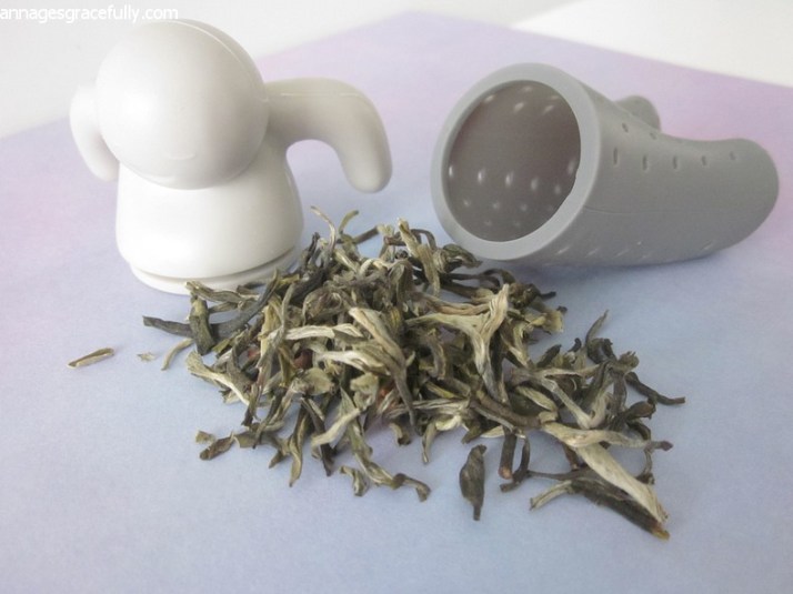 theezeef www.annagesgracefully.com