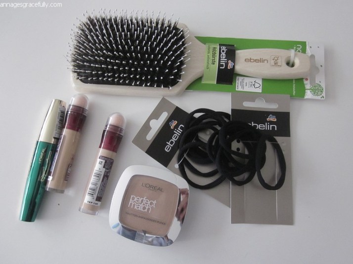 dm-shoplog-jan-2017-2