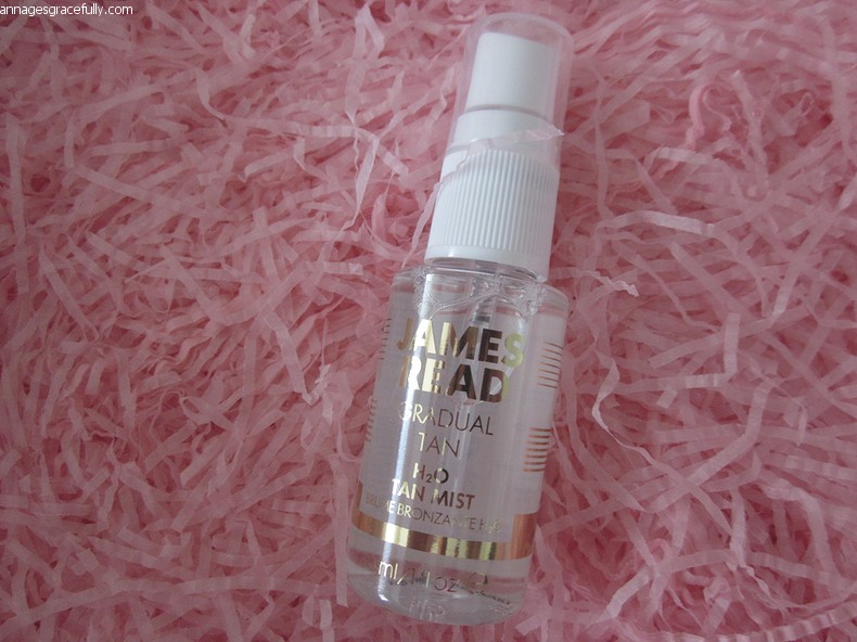 H2O Tan Mist James Read Gradual Tan