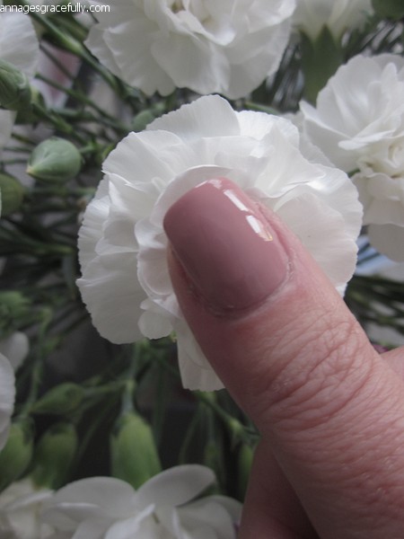 Double Volume & Shine Trend it up 030