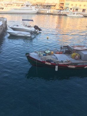 Vakantieplog Kreta (8)