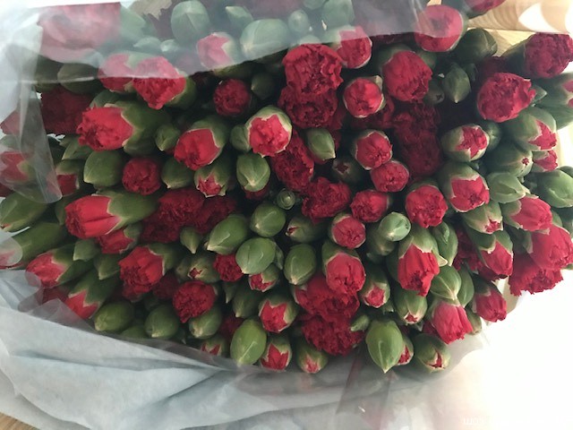 IMG_3711-BorderMaker