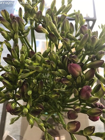 IMG_4406-BorderMaker