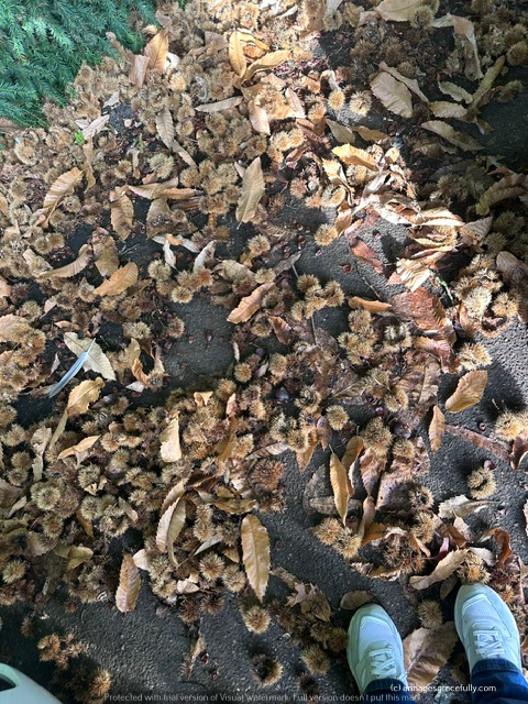 Een foto van een pad bedekt met gevallen bladeren en kastanjes, met een paar schoenen zichtbaar in de onderkant van het beeld.