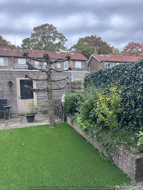 Een tuin met kunstgras, een kale boom, een plantenbed vol groene bladeren en een houten schutting op de achtergrond, met huizen en een bewolkte lucht.
