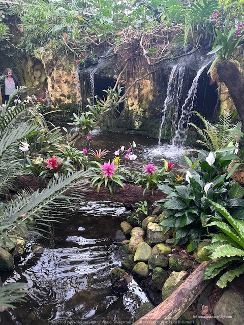 Een tropische tuin met een helderwaterpoel, watervallen en kleurrijke bloemen, omringd door groene planten en een boomstronk.
